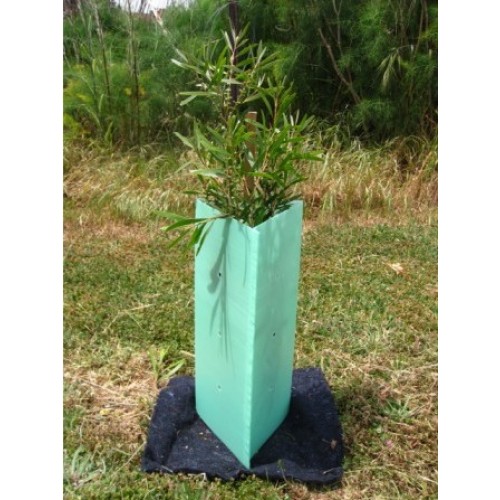 Plastic PP Coroplast Tree Guard Shelters Wrap