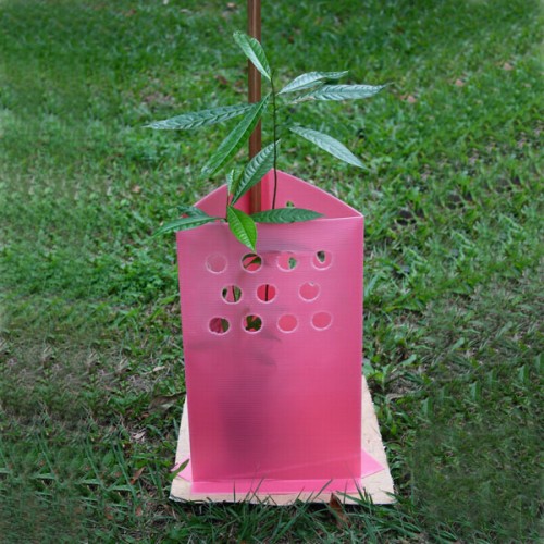 Plastic PP Coroplast Tree Guard Shelters Wrap