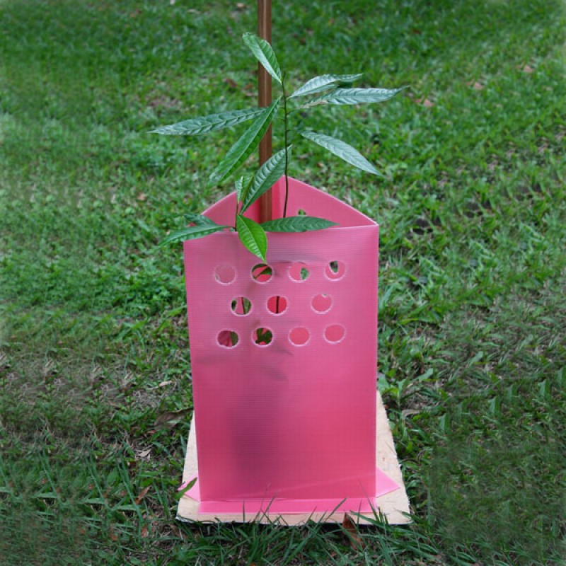 Plastic PP Coroplast Tree Guard Shelters Wrap 