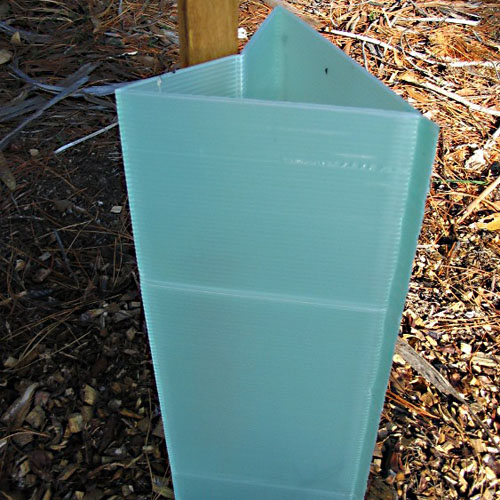 Plastic PP Coroplast Tree Guard Shelters Wrap