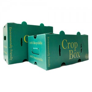 Reusable Stackable Pp Hollow Corrugated Plastic Corflute Packaging Fruit And Vegetable Box